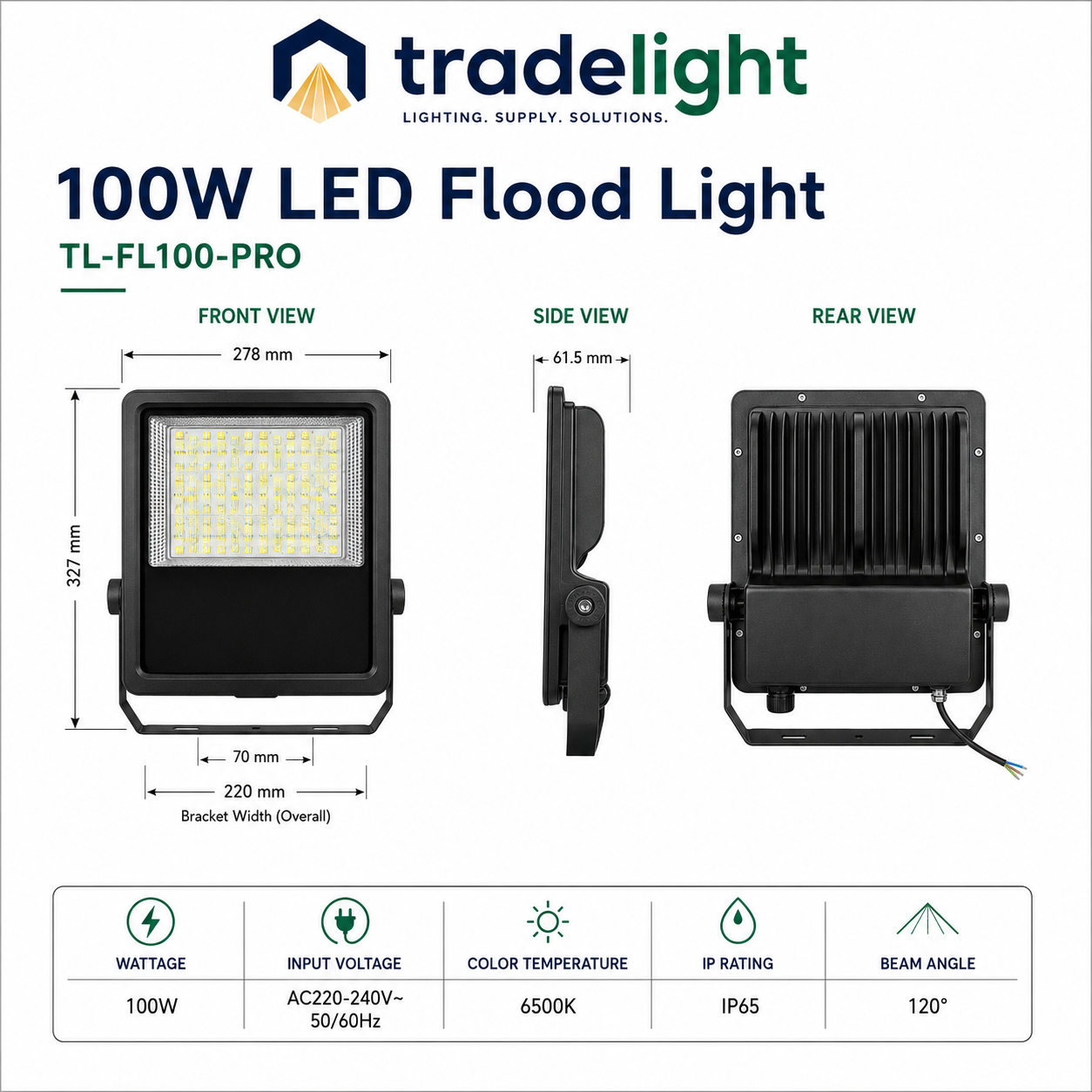 100W LED Flood Light