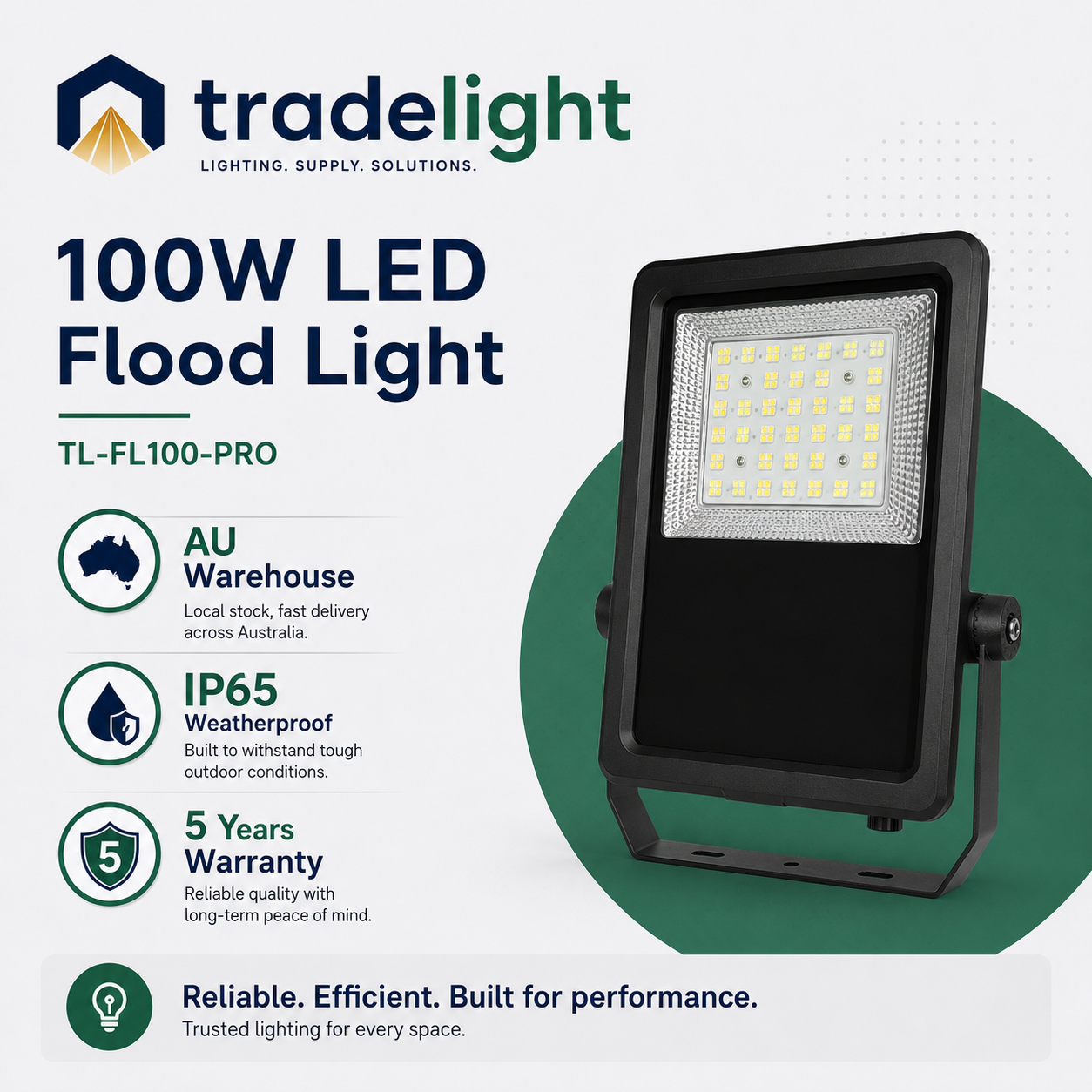 100W LED Flood Light