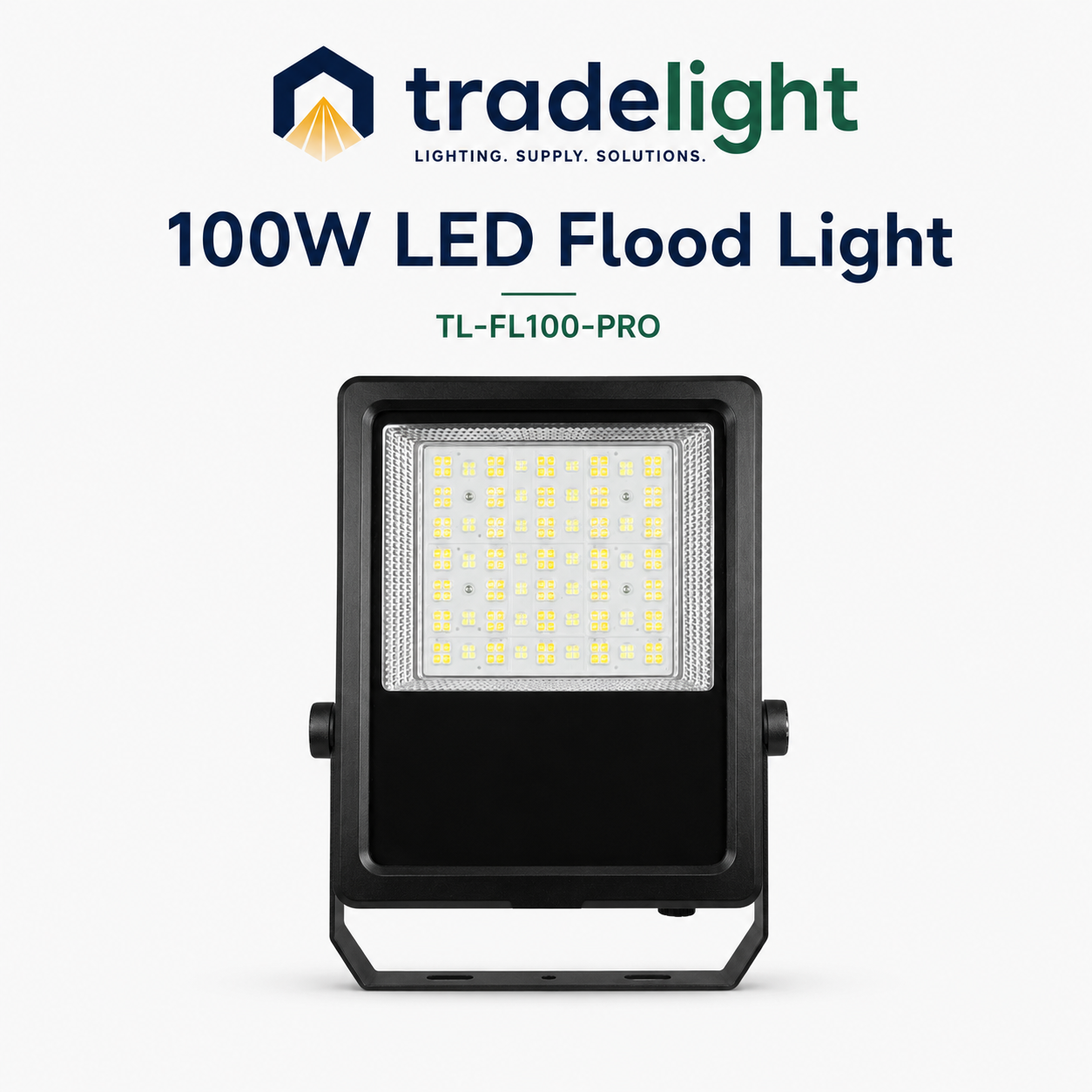 100W LED Flood Light